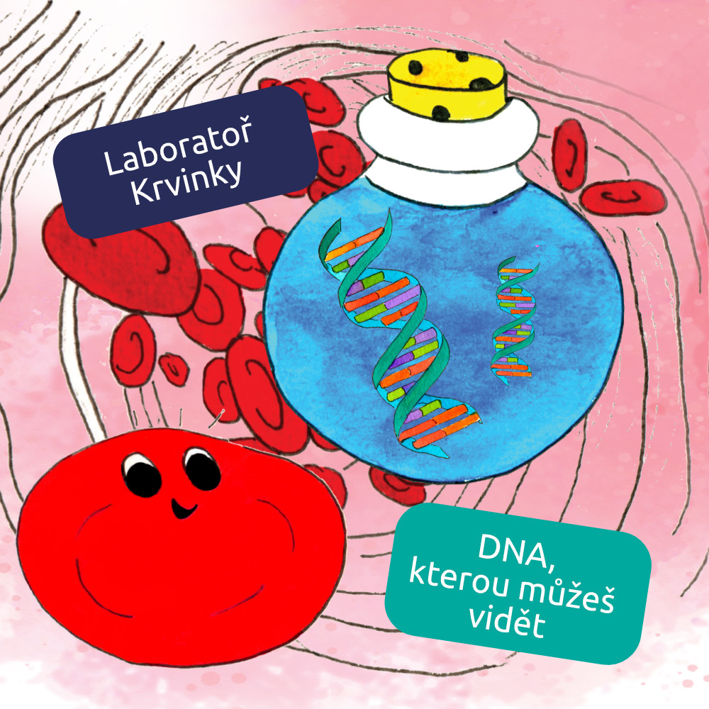 Laboratoř Krvinky: DNA, která jde vidět